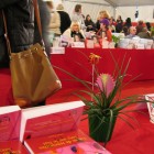 Salon du livre, Roquebrune (06)
