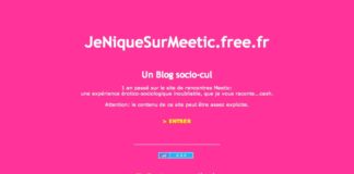 Dossier presse du blog JNSM Le blog "JeNIqueSurMeetic" dans sa version d'origine
